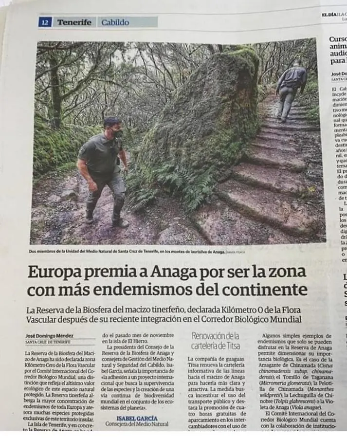 Anaga y La laguna a tus pies Santa Cruz de Tenerife Apartamento